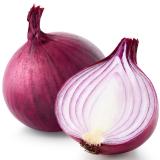 Zwiebeln rot