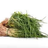 Rarität: Mönchsbart