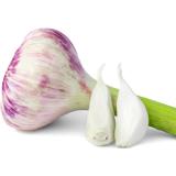 Knoblauch frisch 100 g aus der Provence