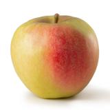 Äpfel Gala aus der Region
