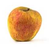 Historische Apfelsorte: Finkenwerder Herbstprinz