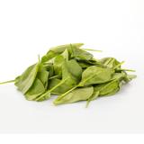 Baby Spinat Deutsche Ernte