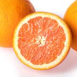 Orangen rosé Cara Cara