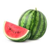 Wassermelone rot Eschenhof