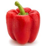 Paprika rot