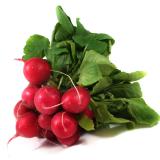 Radieschen
