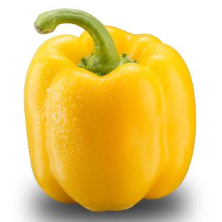 Paprika gelb Eschenhof