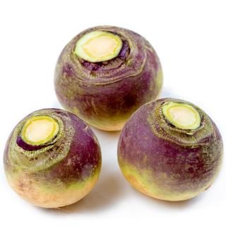 Steckrübe aus der Region