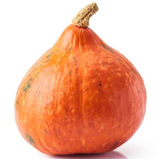 Kürbis Hokkaido aus der Region