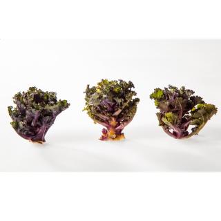 Flower Sprouts aus der Region