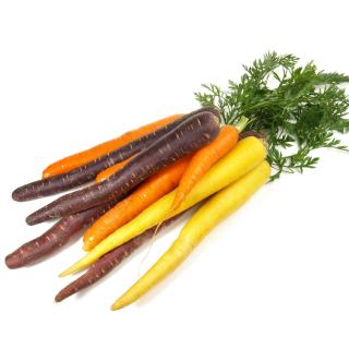 Möhren bunt