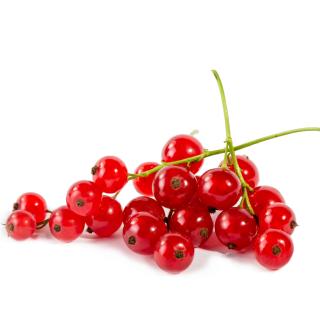Johannisbeeren rot Eschenhof 500 g