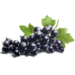 Johannisbeeren schwarz Eschenhof 250 g