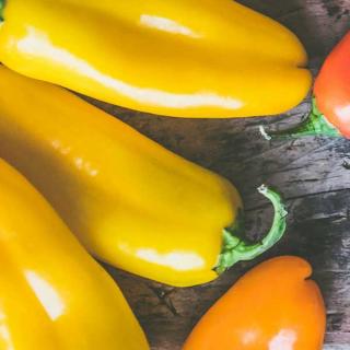 Spitzpaprika gelb Eschenhof