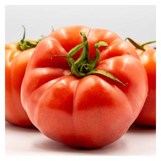 5 kg Fleischtomaten Eschenhof