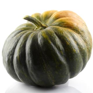 Kürbis Muskat klein Eschenhof