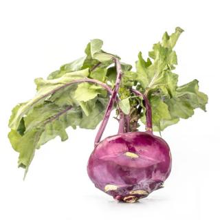Kohlrabi blau Eschenhof
