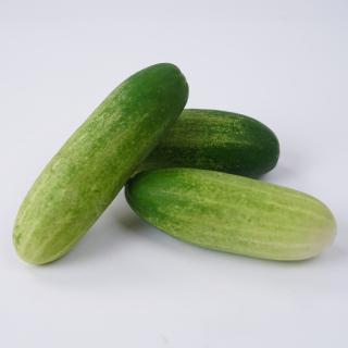2 kg Schmorgurken Eschenhof