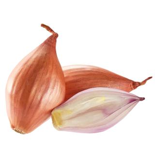 Schalotten im Netz