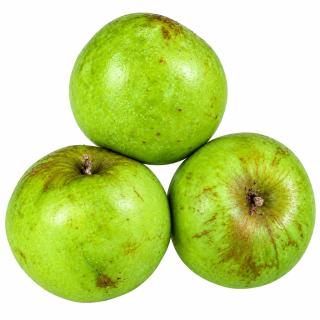 Äpfel Seestermüher Zitronenapfel aus der Region