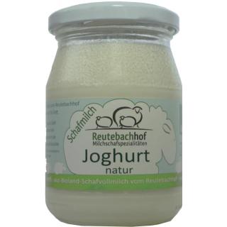 6 x Schafjoghurt natur à 250 g im Glas