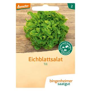 Saat Eichblattsalat Till