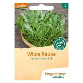 Saat Rucola Wilde Rauke