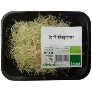 Frische Alfalfasprossen 100 g
