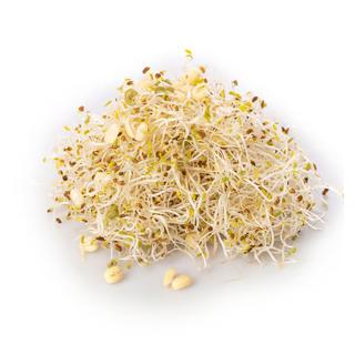 Frische Frühlingssprossen