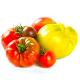 Fleischtomaten Eschenhof