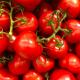 5 kg Tomaten Eschenhof
