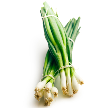 Lauchzwiebeln Eschenhof