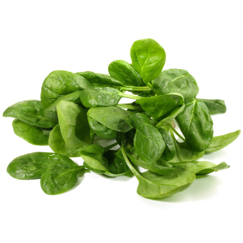 Baby Spinat Eschenhof