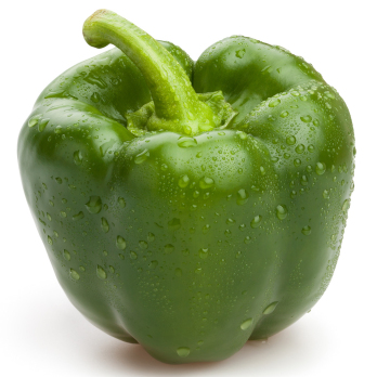 Paprika grün Eschenhof