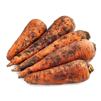 Moormöhren aus der Region