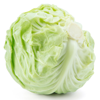 Weißkohl mittelgroß Eschenhof