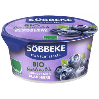 Joghurt Blaubeere