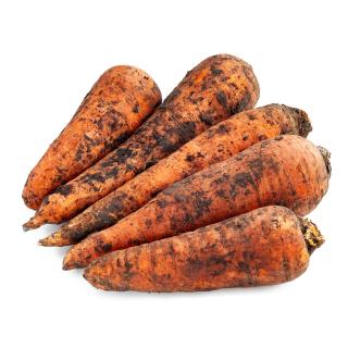 Moormöhren aus der Region