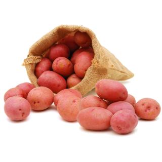 Kartoffeln Laura aus der Region vf