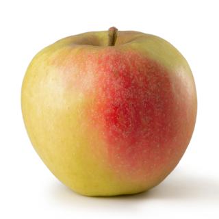 Äpfel Elstar aus der Region