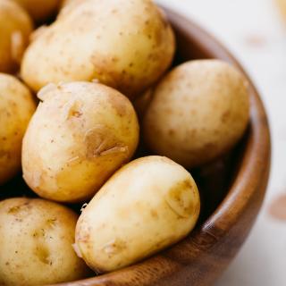 Kartoffeln Gunda aus der Region mk