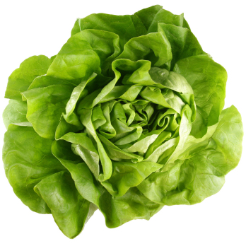 Salat der Woche Deutsche Ernte