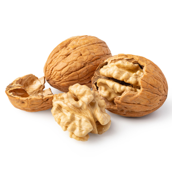Walnüsse
