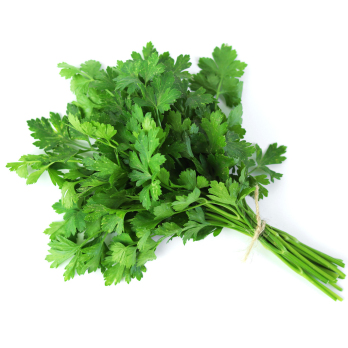 Petersilie im Bund