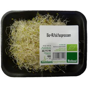 Frische Alfalfasprossen 100 g