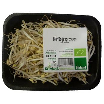 Frische Mungbohnensprossen 150 g