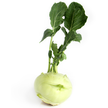 Kohlrabi